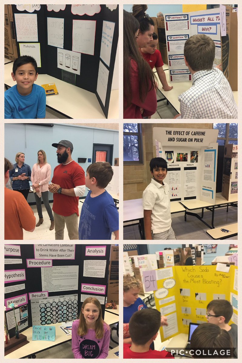 Amazing 5th Grade Science Fair at WSE!