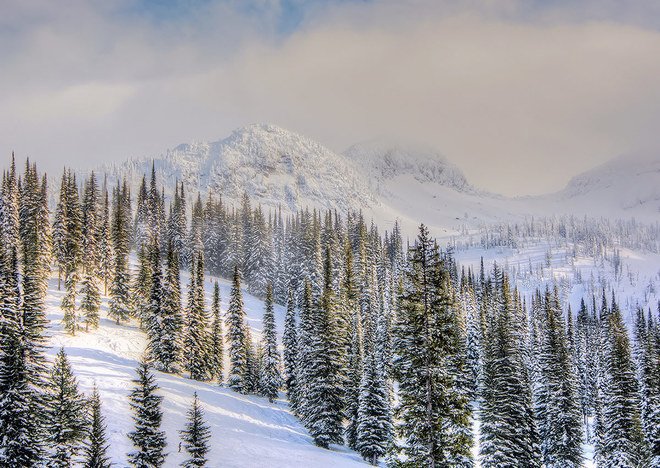 Where's your favourite place to enjoy the season? Share your #ScenesOfWinter with us: ow.ly/CQOs308aiew 📷: Madeleine G., Nelson, BC