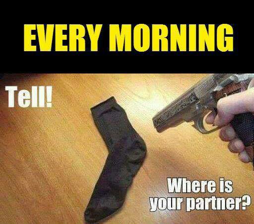meduzzaS2's tweet photo. who you're working against me???  #everymorning https://t.co/1sqgdbAKMu