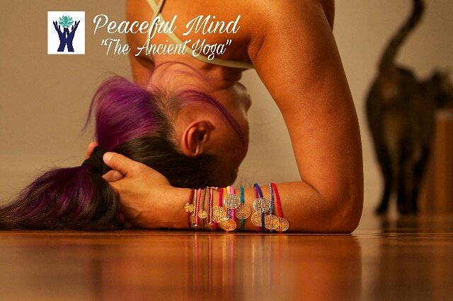 peacefulmind666's tweet photo. https://t.co/gw7O2qlGZ6
