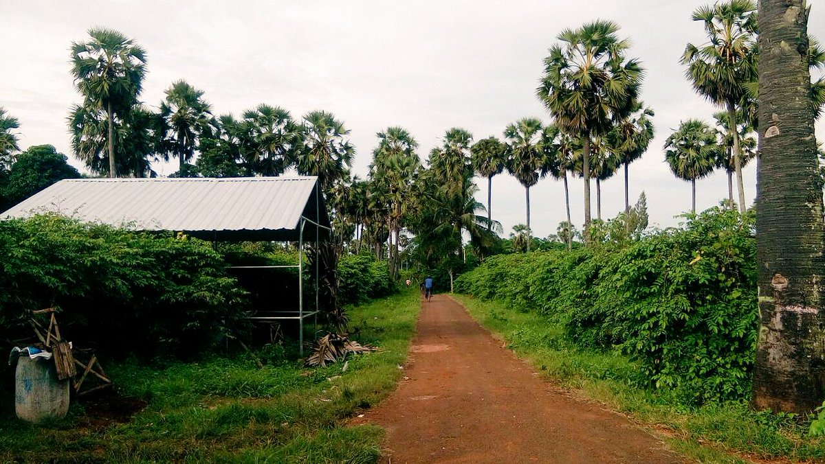 wins_henry's tweet photo. @jarkomdesaid
Ds Tasikmadu-Palang-Tuban. Dg potensi perkebunan belimbing berkualitas, menembus pasar nasional
#edukasidesa
#petapotensidesa https://t.co/jJ0ANw8Db7