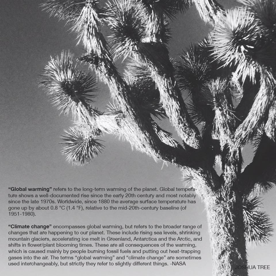 BarbaraLSW's tweet photo. Real talk with the @NatlParkService  #breakingbadlands #findyourpark #nationalparkservice #climatechange #climatechangeisreal @JoshuaTreeNPS https://t.co/DLg9ADJ2jN