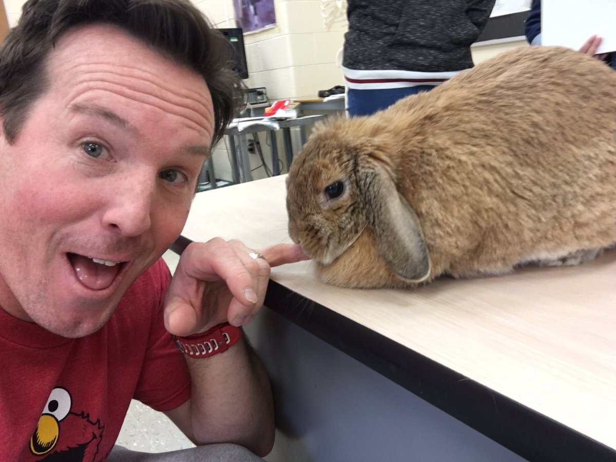 MrTdoesPE's tweet photo. Honestly say this was a first! #KinCafe project on comparative anatomy staring this "little" puff ball. That's not a 🥕! #KinIsLife #physed https://t.co/WQlJdZAYpD