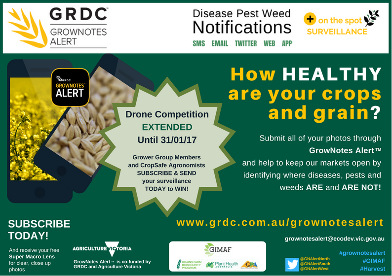 VicGovAg's tweet photo. Keep those photos coming, be part of this important pilot #GrowNotesAlert #drone still up for grabs @VicGovGrains https://t.co/WCbxo8ixIr