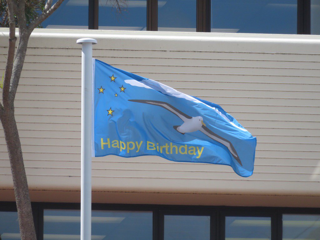 Flying over the Dunedin City Council. Happy Birthday little albatross