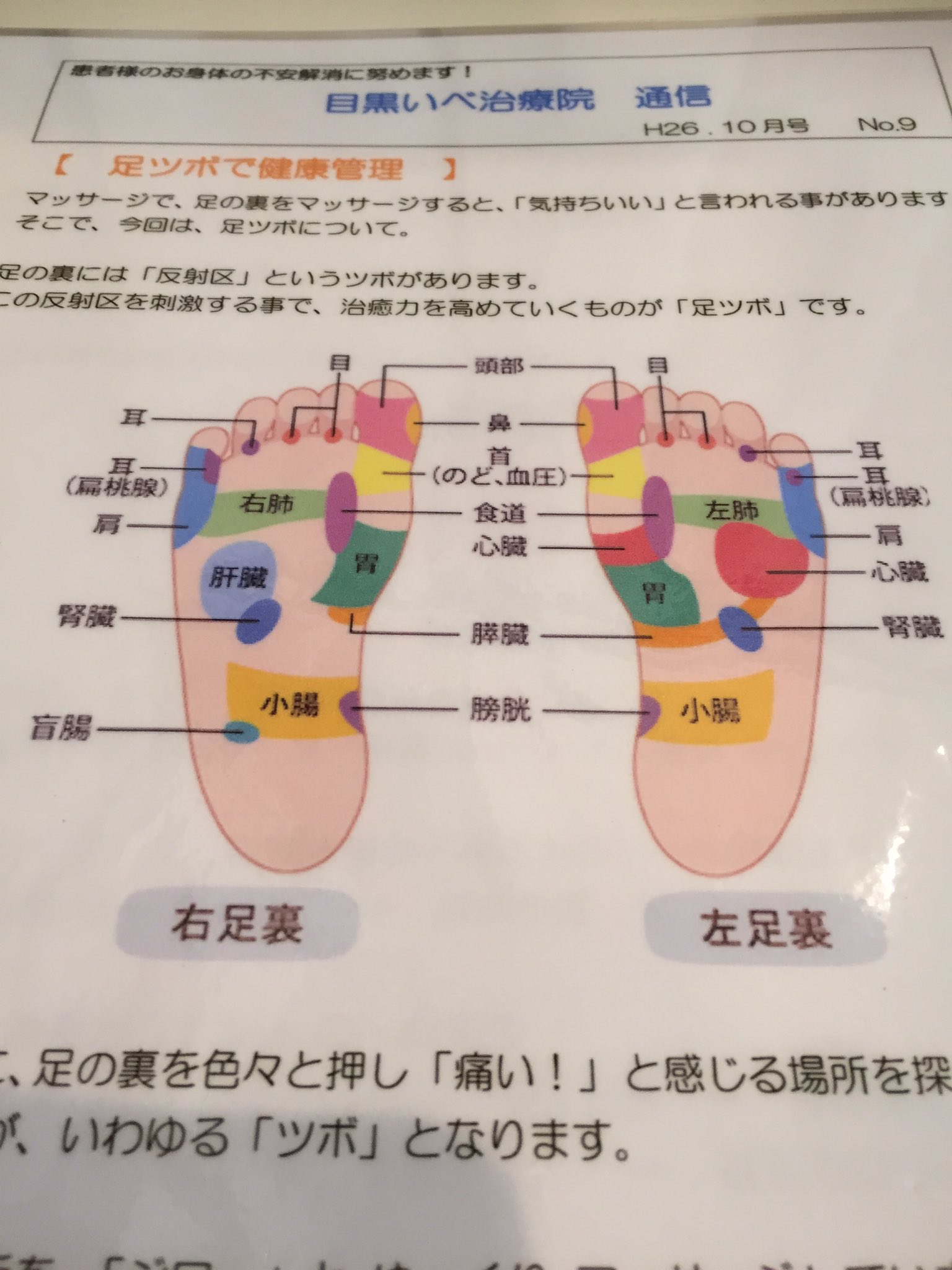 目黒いべ治療院 足の裏には 反射区 というツボがあります この反射区を刺激する事で治癒力を高めていくものが 足ツボ です 下の図を参考に 痛い と感じる場所を探してみましょう その痛む場所が ツボ です 足ツボもして健康管理に役立ててていきま