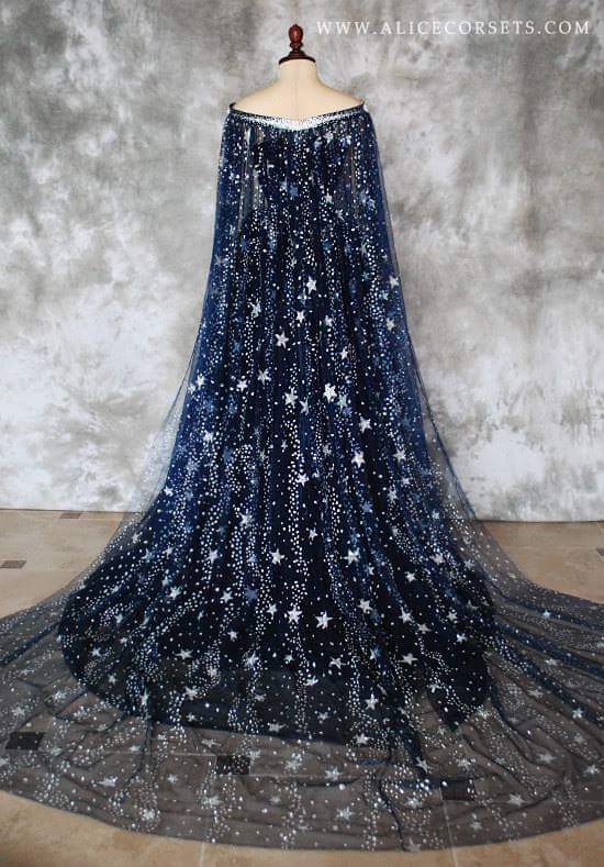 ThrnsAndAll's tweet photo. I can picture Feyre wearing this gown. It's so beautiful! Made by Alice Corsets https://t.co/BLJZocwLqf