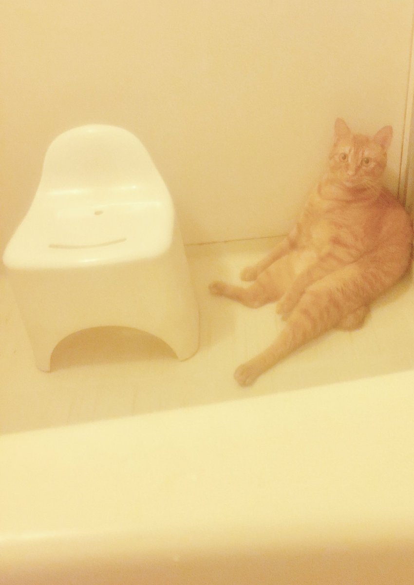Twitter पर てく Rt まってるのかわいい うちネッコはなんか知らんが入浴前も入浴中も浴室にずーっといる 浴槽 私がいる のお湯ガブガブのんで満足したらいなくなる