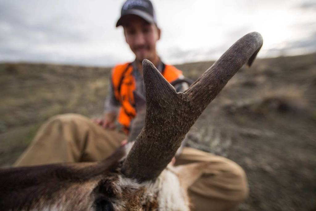 GORETEXhuntfish's tweet photo. Cutters.
Photo: @TomLangmo
#HuntDifferent | #ExperienceMore | #Antelope | #Pronghorn https://t.co/VK55ZrLpK9