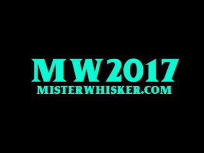 OrlandoBeards's tweet photo. #misterwhisker #beardcompetition #orlandobrewing #ofhc https://t.co/RHrAQ4DndW