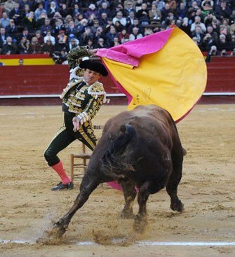 El soro (@vicenteruizelso) on Twitter photo 
