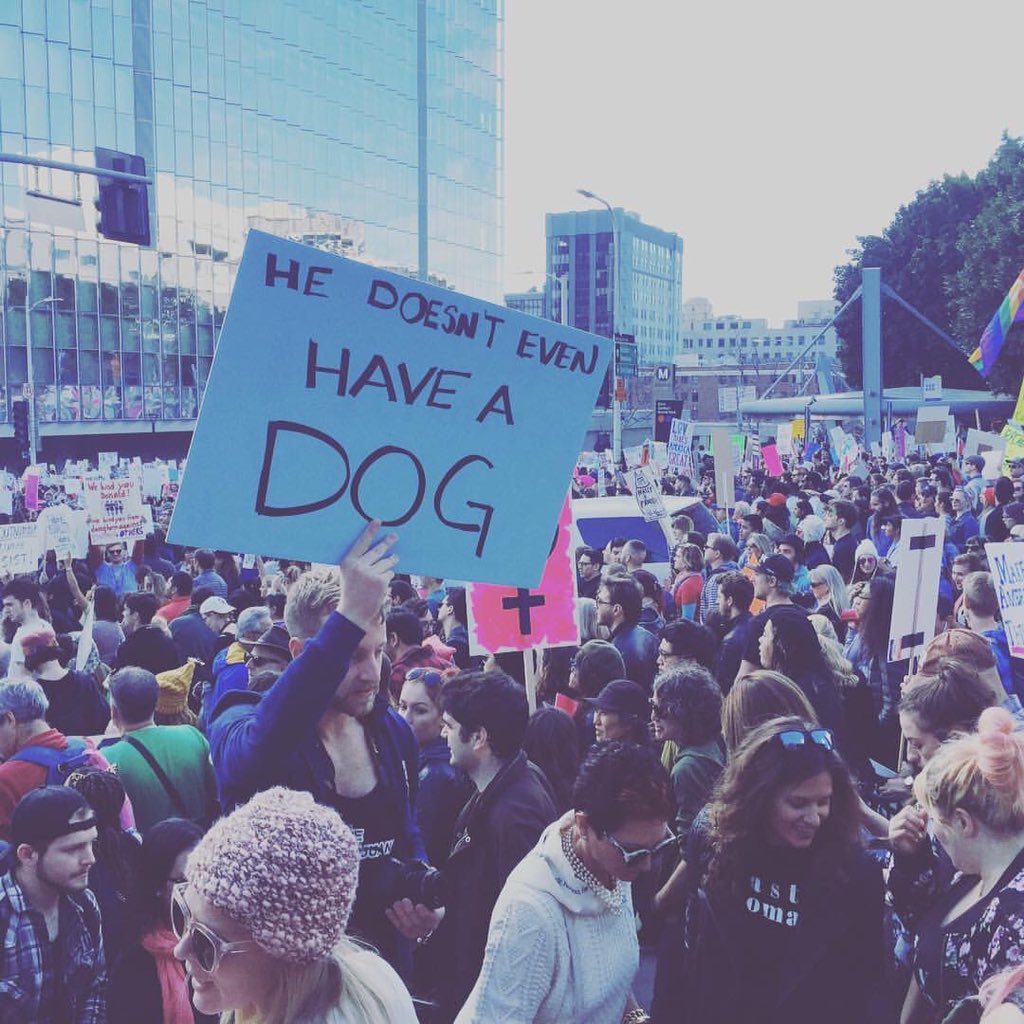 DLRDog's tweet photo. Says it all really ... #trump #notmypresident #LARally https://t.co/qhgPEVUIFz