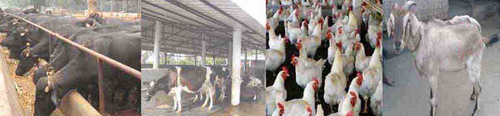 krdeveloptrust's tweet image. JOIN US FOR GROWING FARMING SECTOR OF INDIA. TARGET FOR INDIA FAST,HELP AND GUIDE UNKNOWN FARMER IN INDIA,JAI HIND.