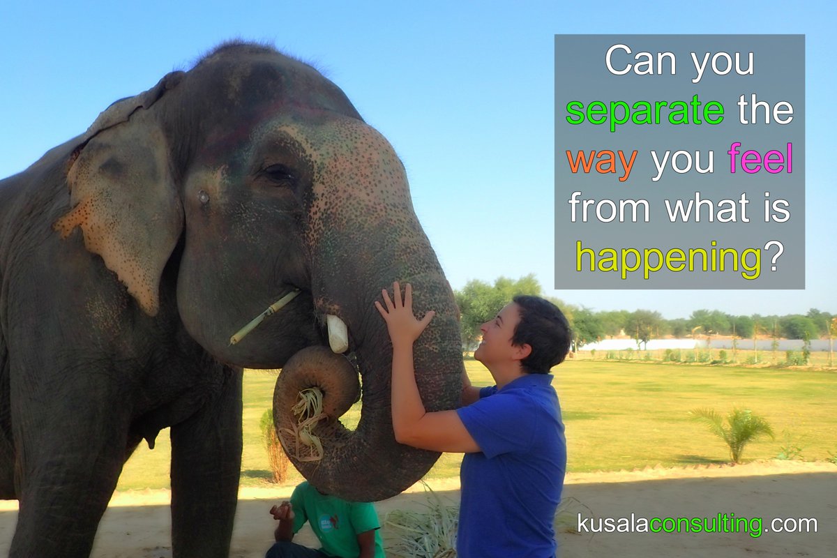 kusalaconsult's tweet photo. Can you separate the way you feel from what is happening? #questionyourthoughts #oneononesessions #consulting #speaker #digitalnomad #india https://t.co/krubCJiDDz