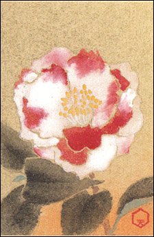 日本の誕生花 １月２３日の誕生花 椿 岩根絞り つばき いわねしぼり 花言葉 美徳そのもの ゴージャスな大輪 白と赤と一厘の中に混ざり合って 地が白なのか 赤なのか 分からないながら どちらも美しい もったいないくらい豪華な椿です