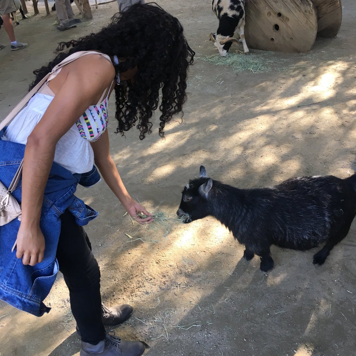 ann_basia's tweet image. Feeding @kobebryant 🐐 #81points