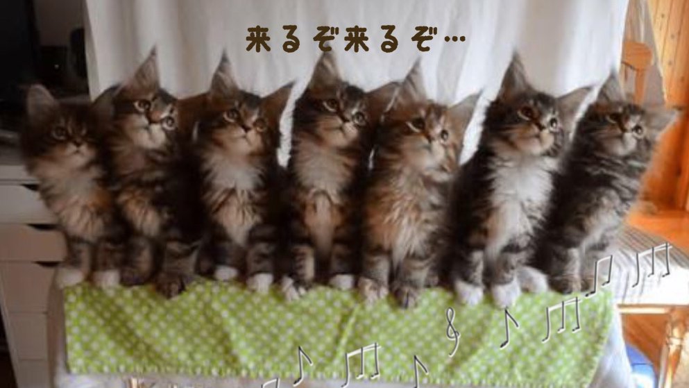 mtaro884's tweet image. 第九（ベートーベン）　合唱団が入るタイミング♬