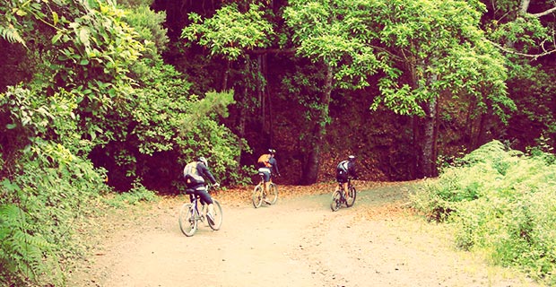 Planor_am's tweet photo. 🚴 ¡Empezamos la semana de ruta por los increíbles bosques de laurisilva de #Tenerife! ¿Quién se apunta? #Canarias https://t.co/ikvXADeVm9 https://t.co/mJE8r0YLEi