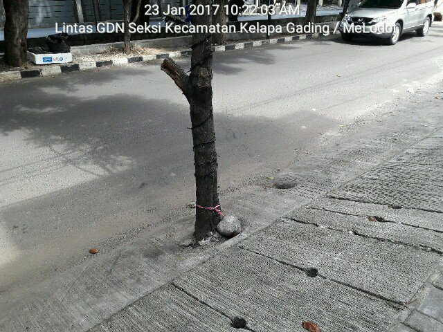 melodotgading's tweet photo. Hasil Giat  Lintas Angkut Sampah Senin 23 Januari 2017.
#PasukanOrangeDinsih
#LiveMore
#BebasSampah2020 https://t.co/TWVngLXOTa