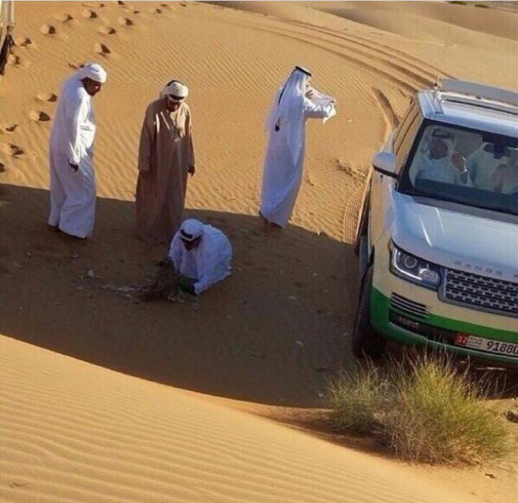 xabdulla12's tweet photo. صباحكم شوفت قايدنا بوسلطان الله يطول بعمره💙💙 https://t.co/d1jSm0xGXF