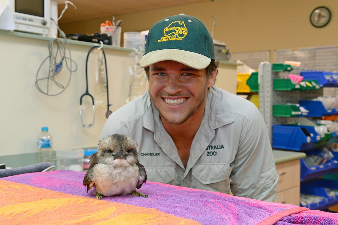 Australia Zoo (AustraliaZoo) تويتر