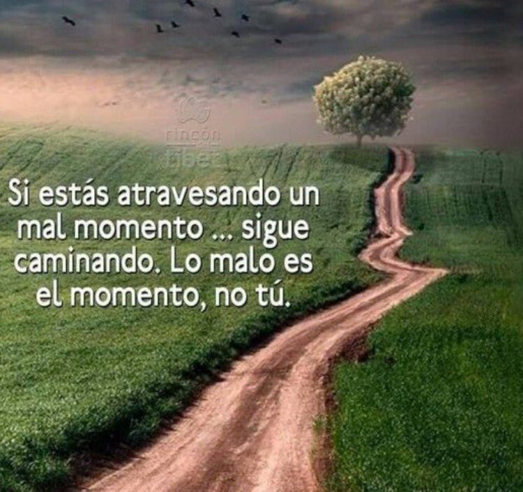 Si estás atravesando un mal momento, sigue caminando

Buenos días damas y caballeros,no haganme el favor d ser felices #FelizLunes café aquí
