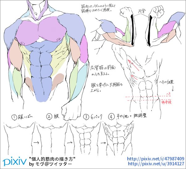 Pixivision 細身の体からチラッと見える腹筋や 袖から伸びる上腕二頭筋 筋肉を意識した体の描き方を分かりやすく解説したイラストを紹介するっぴ 筋肉の描き方講座 マッチョな男性のイラストの描き方 T Co Ujyu7cpxwp T Co K9lv3yx4rt