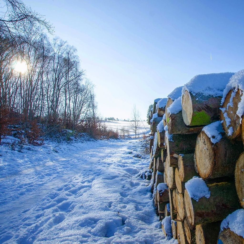 fernwehyvi's tweet photo. Loving the winter with sunshine and blue sky #hiking #dasBergische #BergischesLand #bergis… https://t.co/uIxGVFfa3U https://t.co/AVEgJkcEE0