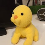 引っ越しの荷物を開けたら、禿散らかして哀れな姿になったポンデライオン見つけたw
