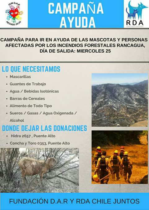 localElpoderoso tweet picture