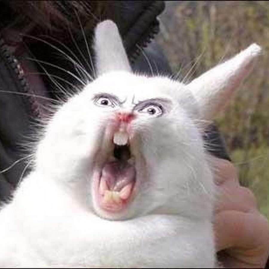 amrmzz's tweet image. When you haven&apos;t saved your progress and the illustrator stopped working #DesignerProblem