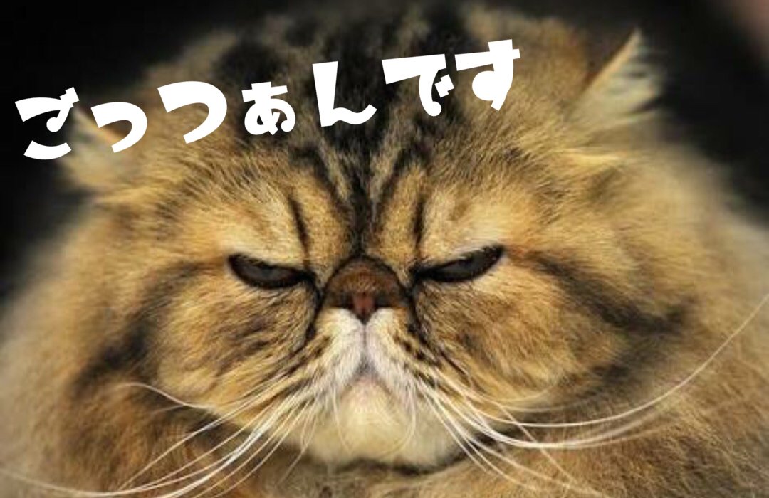 mtaro884's tweet image. 横綱、連勝おめでとうございます！