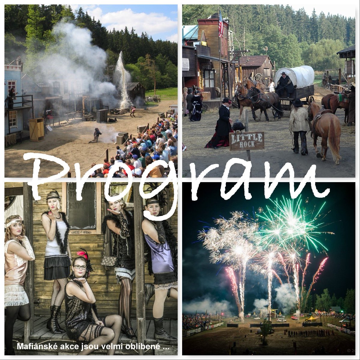 Šikland tweet media