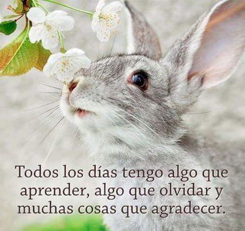 Velazquezlra's tweet photo. Muy buenos días #FelizLunes #lluvia especial para un buen café. https://t.co/lCUsyxXewP
