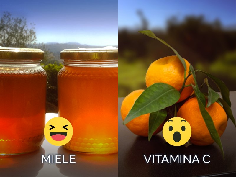 hi_bjull's tweet photo. L'influenza non perdona! Tu cosa preferisci per curare i malanni di stagione?🤧
#miele #vitaminac #food #startup https://t.co/EN1FC5P1wI