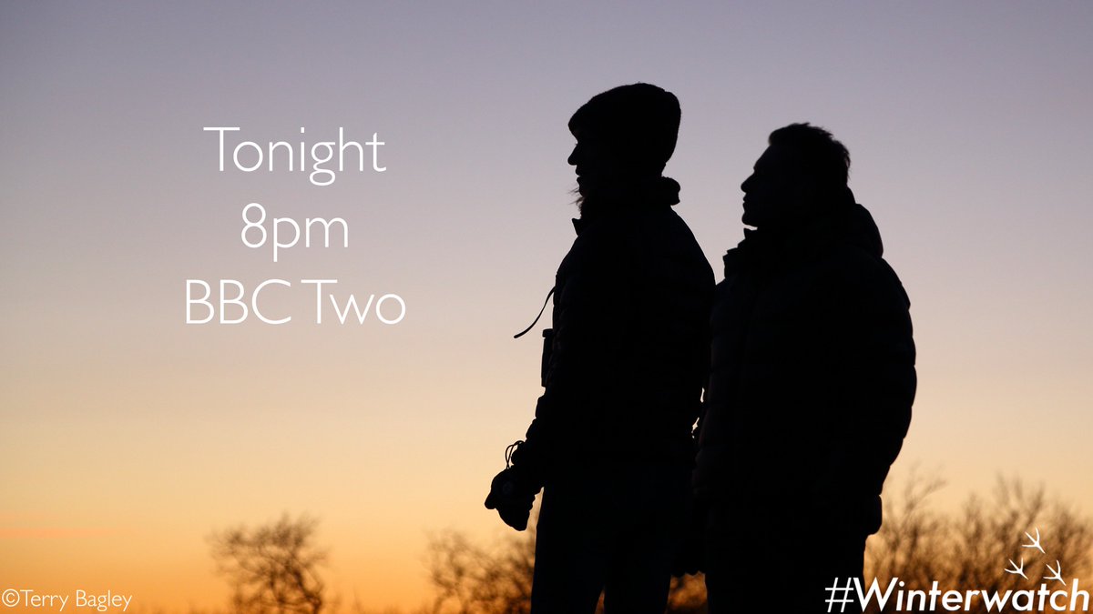 Will you be joining us? #Winterwatch