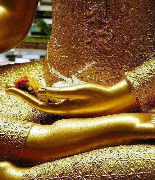 thamarindo's tweet photo. Do not feel lonely, the entire universe is inside you.
― Rumi.

Wishing everyone a peaceful &amp; joyfilled week! https://t.co/4j5JNEO5Mb