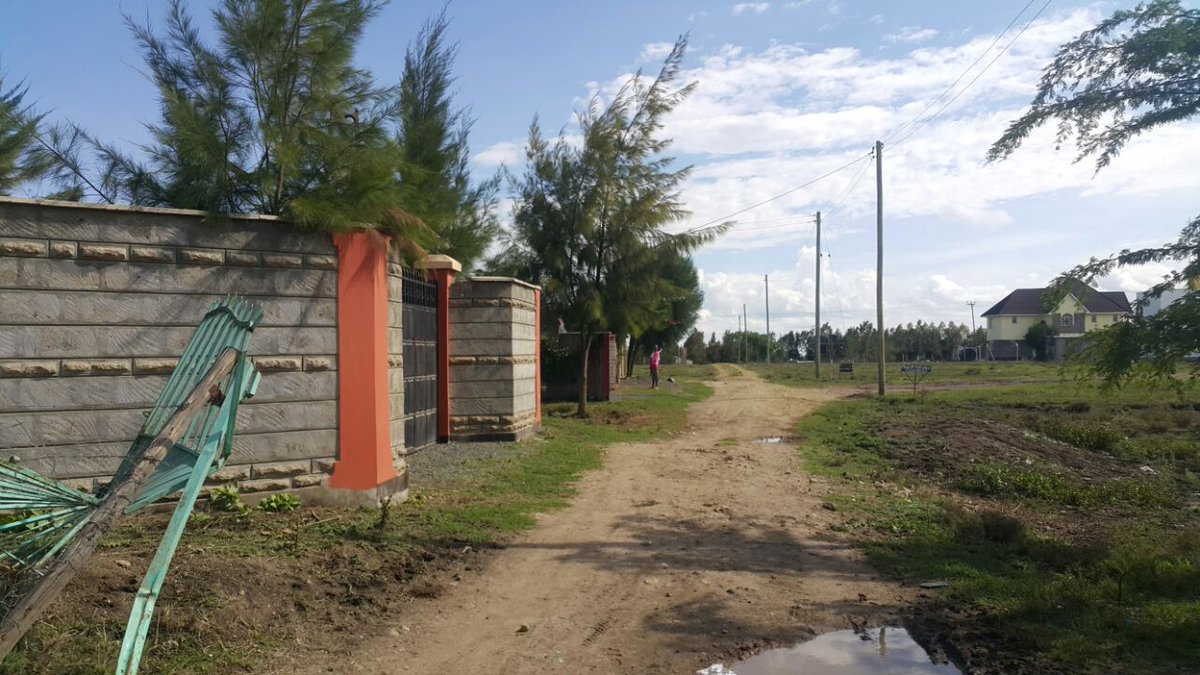 WananchiH's tweet photo. Get a 1/8 acre at Capital Gardens located just 3 km from the Kitengela-Namanga highway along Acacia Road. For only Kshs. 1.8M https://t.co/wLzemZgQs7