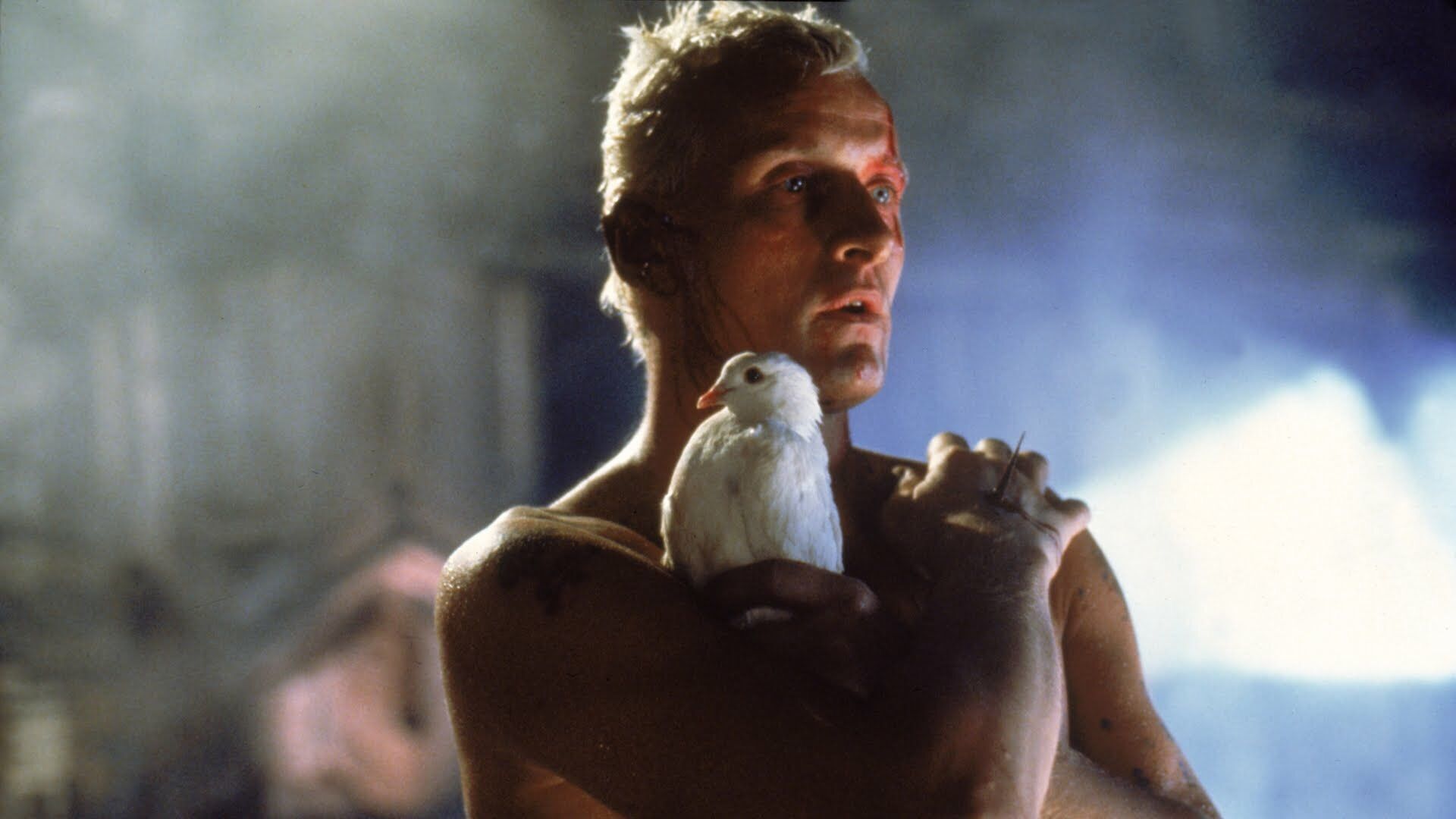 Happy Birthday Rutger Hauer who turns 73 today!  