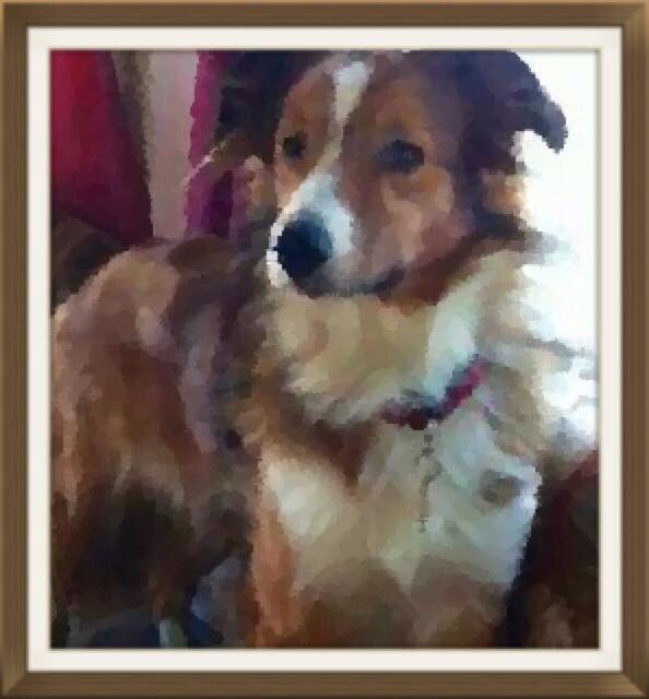 Skye (@findskye) on Twitter photo 