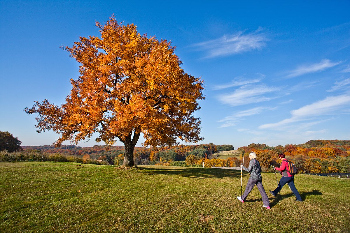 Recreational oasis for cyclists and hikers … take a journey through Ravensko, Dolinsko and Goričko bit.ly/2jIq6Hq