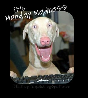 Monday Madness at Molly Malones 
Free pool all day
2 Cocktails for £8
5 Bud for £10
£2 pints of Carling when you show a student card