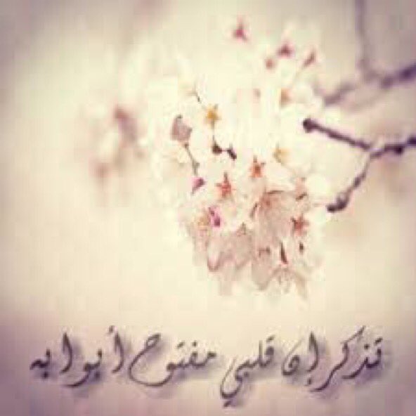 FhadSalm's tweet photo. 🍃
مااحب اراعي نفو�� ماتراعيني
ولااحب اداري خواطرها واجاملها
/
احب اداري الرفيق اللي يداريني
اللي لو اخطيت غلطاتي تحملها 🍃 https://t.co/ILMGm4IZEh
