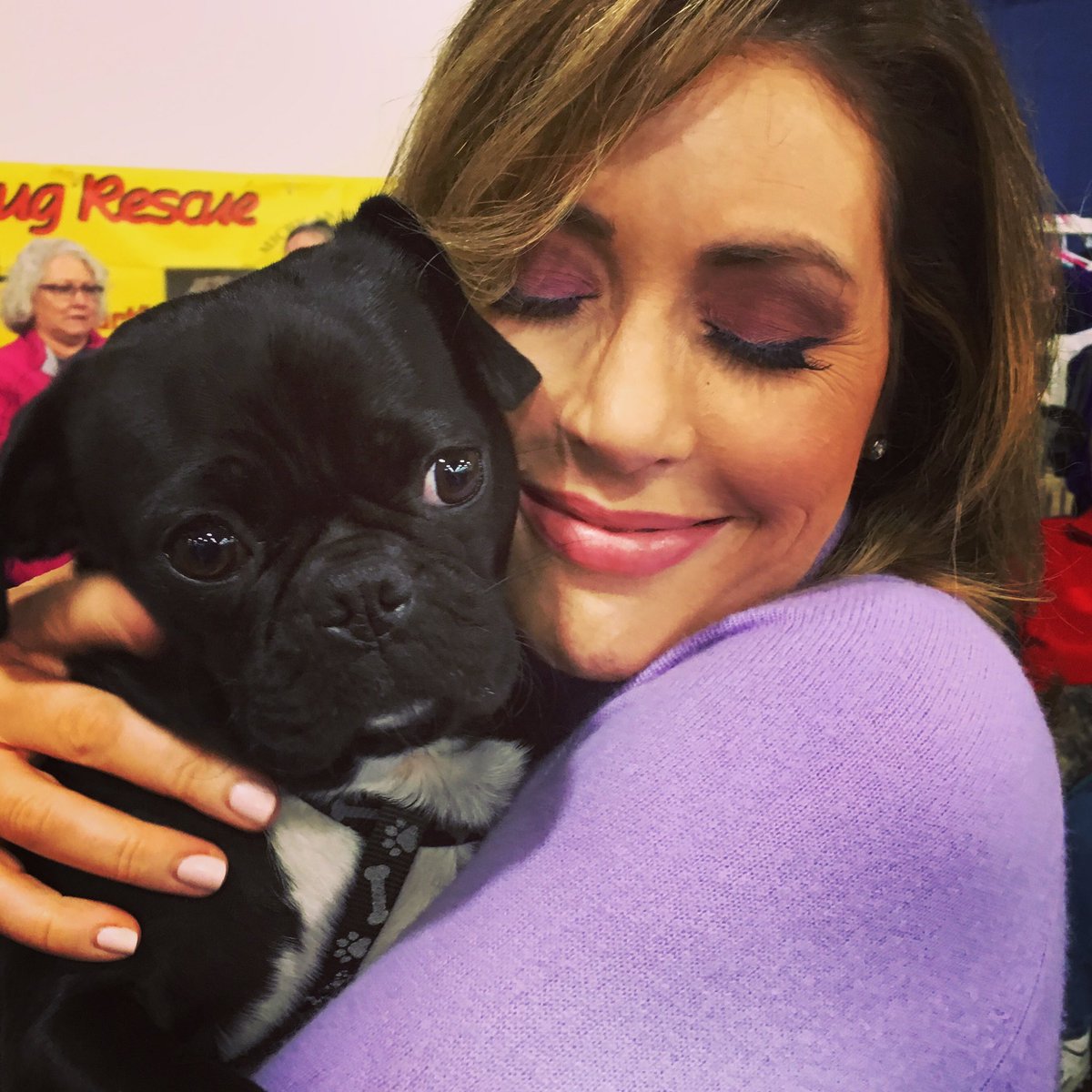 wxyzalicia's tweet photo. A little Saturday snuggle with a rescue dog named BooBoo! 
#pugsandhugs #rescuedogs 
#MichiganWinterDogClassic #earlyrisers https://t.co/UvIEQBZnZH