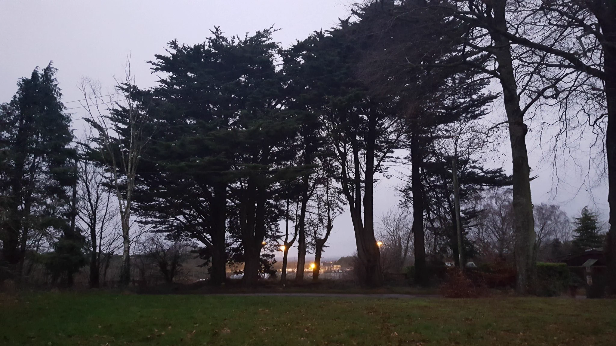 ONeill Tree Services (@oneilltree) / X
