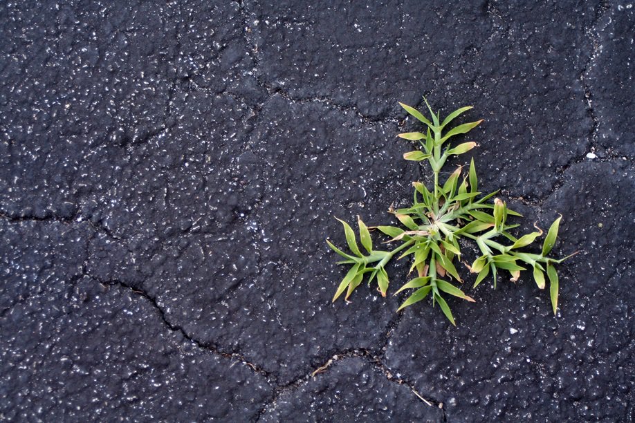 pdiscoveryuk's tweet photo. Change is Good, but Growth is Better      By @BishopCoaching #Leadership https://t.co/XfS0oArIo0 https://t.co/3jDWbCNKLX