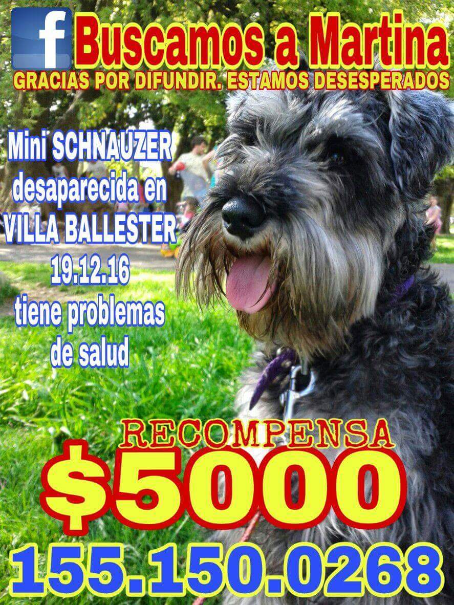 MVEROREYNOSO's tweet photo. #Novaresio910 @luisnovaresio te pido por favor difundas a Martina #buscamosamartina y queremos la devuelvan gracias por su solidaridad!💕 https://t.co/30ZlWljZm5