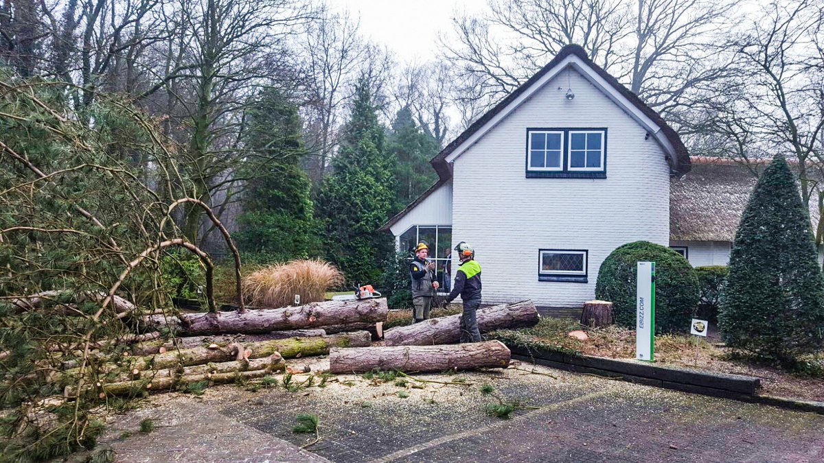 Tacstone tweet media