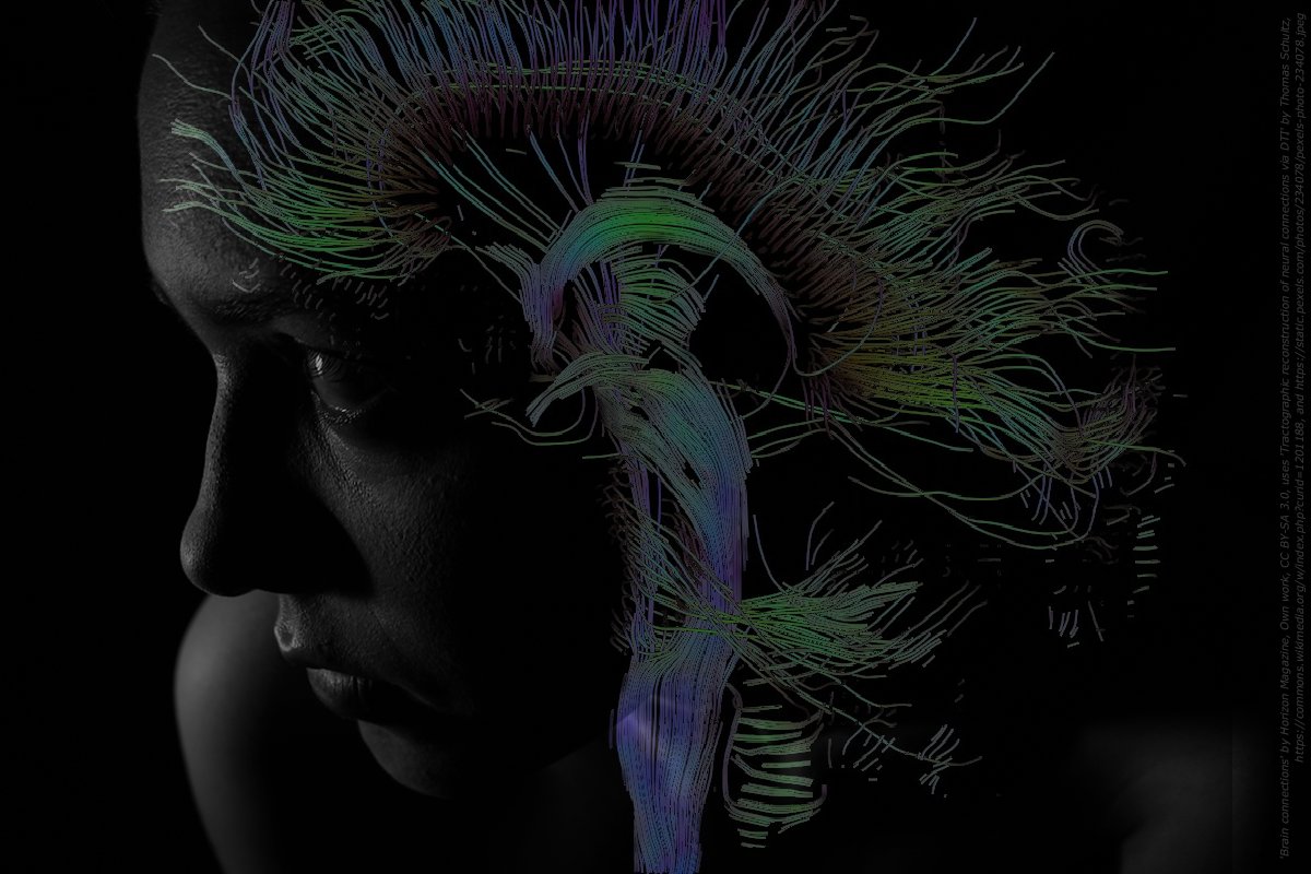 HorizonMagEU's tweet image. 3D #brainmaps correspond to actual thoughts, research finds bit.ly/HMindWave