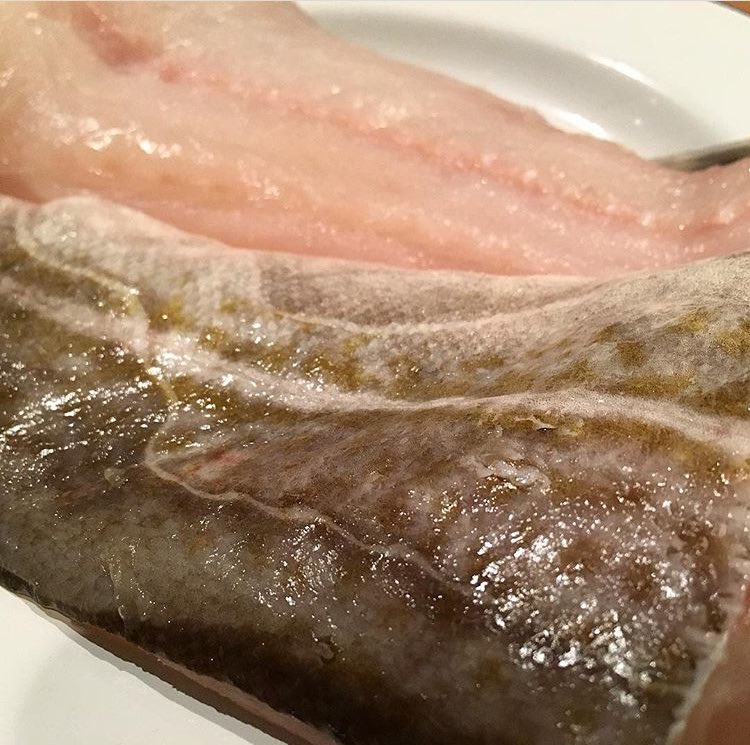 randallandaubin's tweet photo. #CodAlmighty! This fine fillet of Peterhead cod is a thing of beauty, & through Feb we'll be celebrating this fab fish (πΈ @eastcoastavocet) https://t.co/pl2gnskTyl